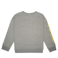 Sweat Col Rond Streetwear Enfant ELVIS gris dos